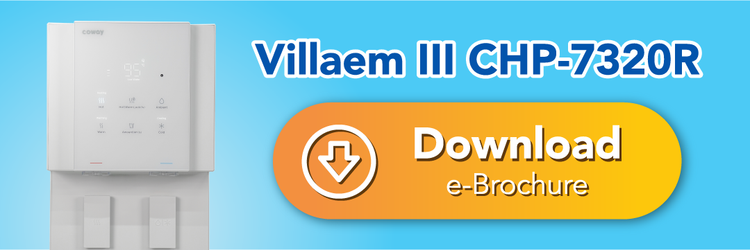 Villaem III Brochure