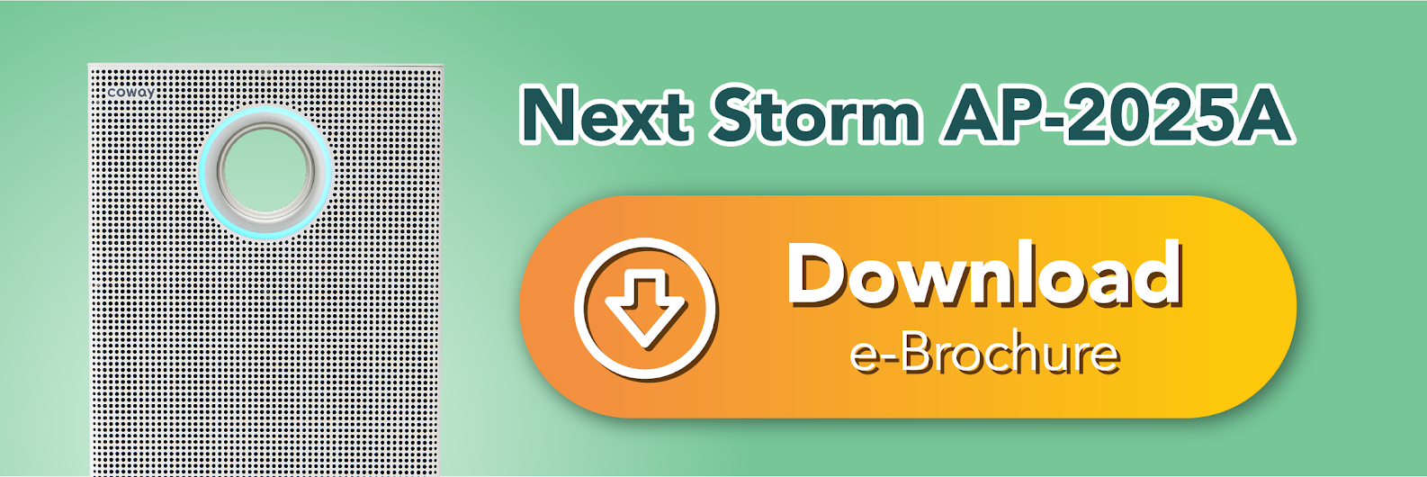 Next Storm Brochure