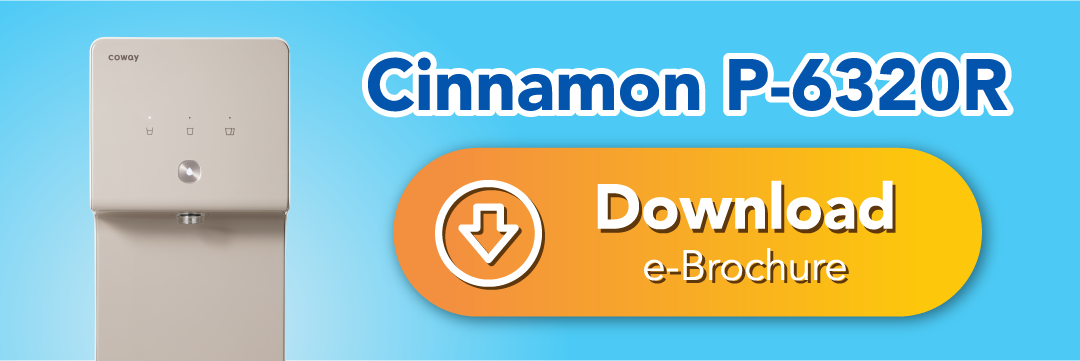 Cinnamon Brochure